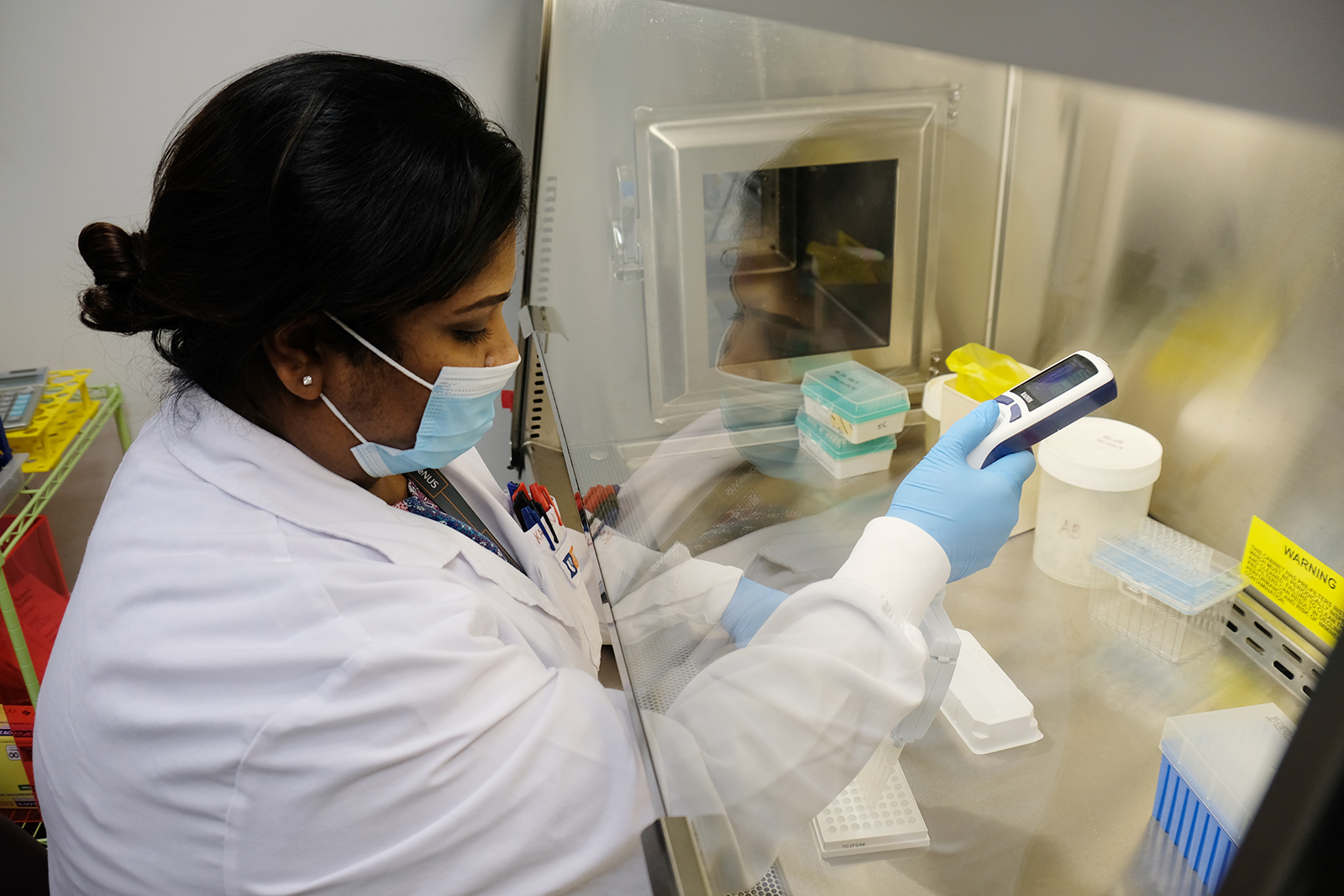 Kamini, isolating and studying the T cells