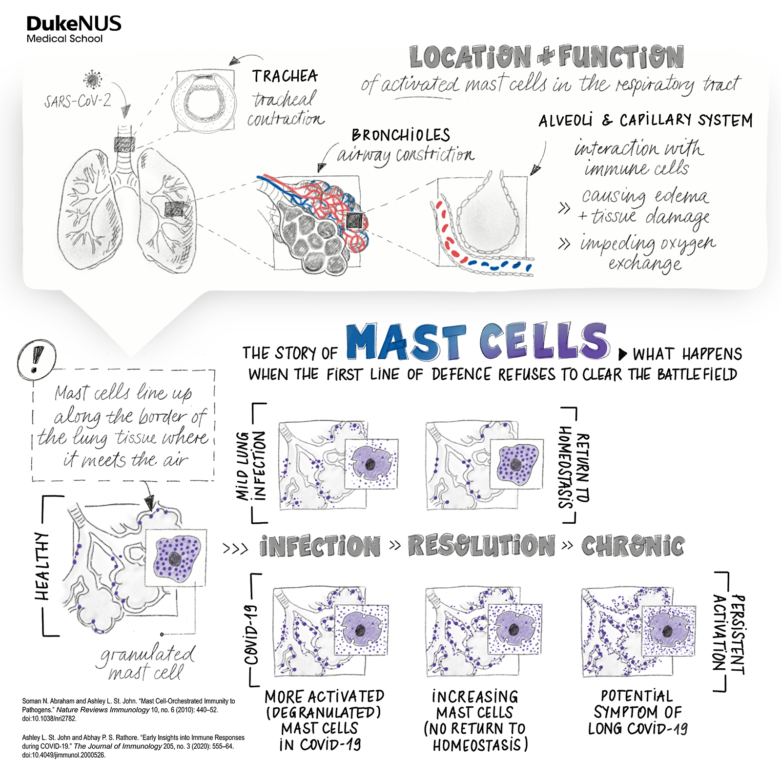 The story of mast cells