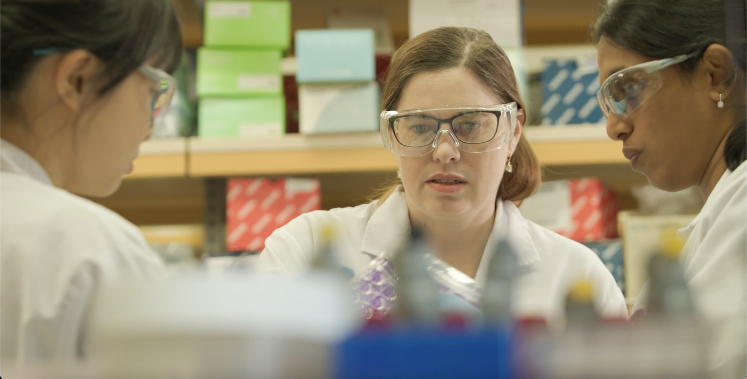 20241107 Ashley St John