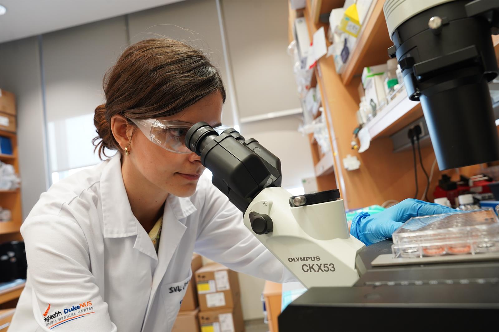 Sophie using a light microscope to check the differentiation status of nasal organoids