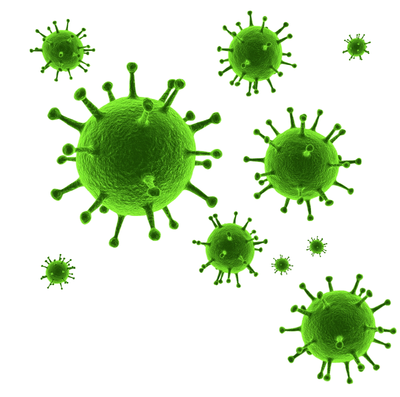 CORONAVIRUS