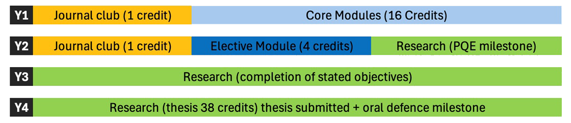 PHD Study Path2