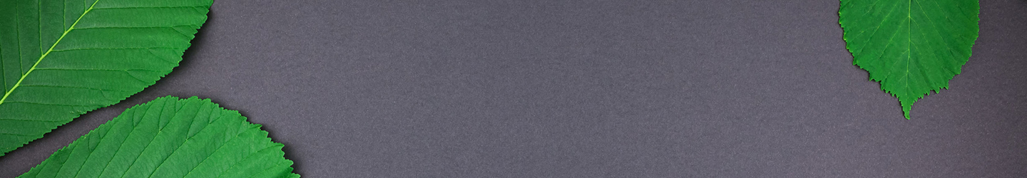 Banner Image for Programmes 