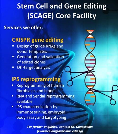 Stem Cell and Gene Editing (SCAGE) Core Facility