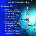 Stem Cell and Gene Editing (SCAGE) Core Facility