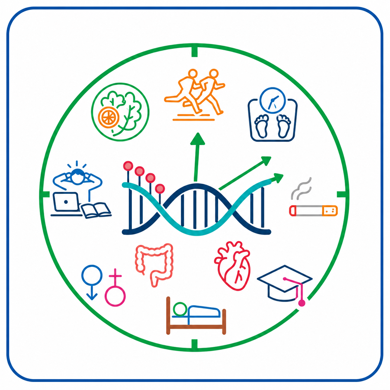 Diseases Icon with Border