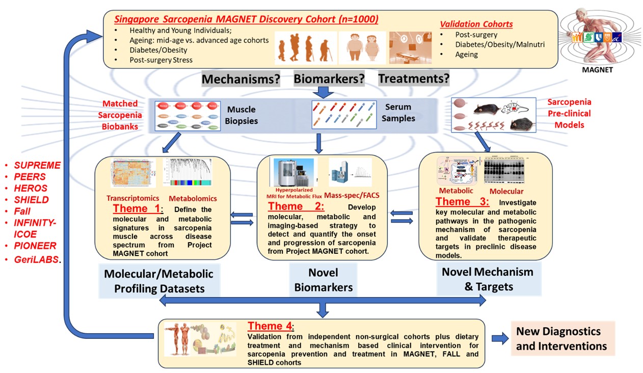 MAGNET Research Team