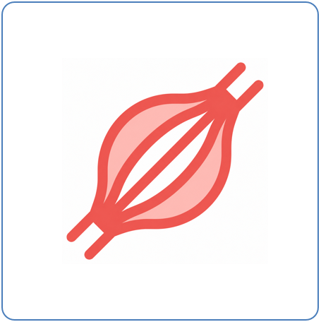 Muscle Icon 2