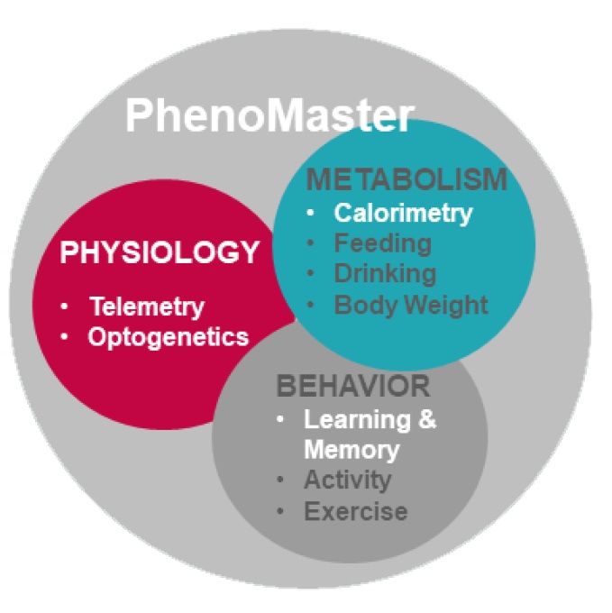 Phenomaster