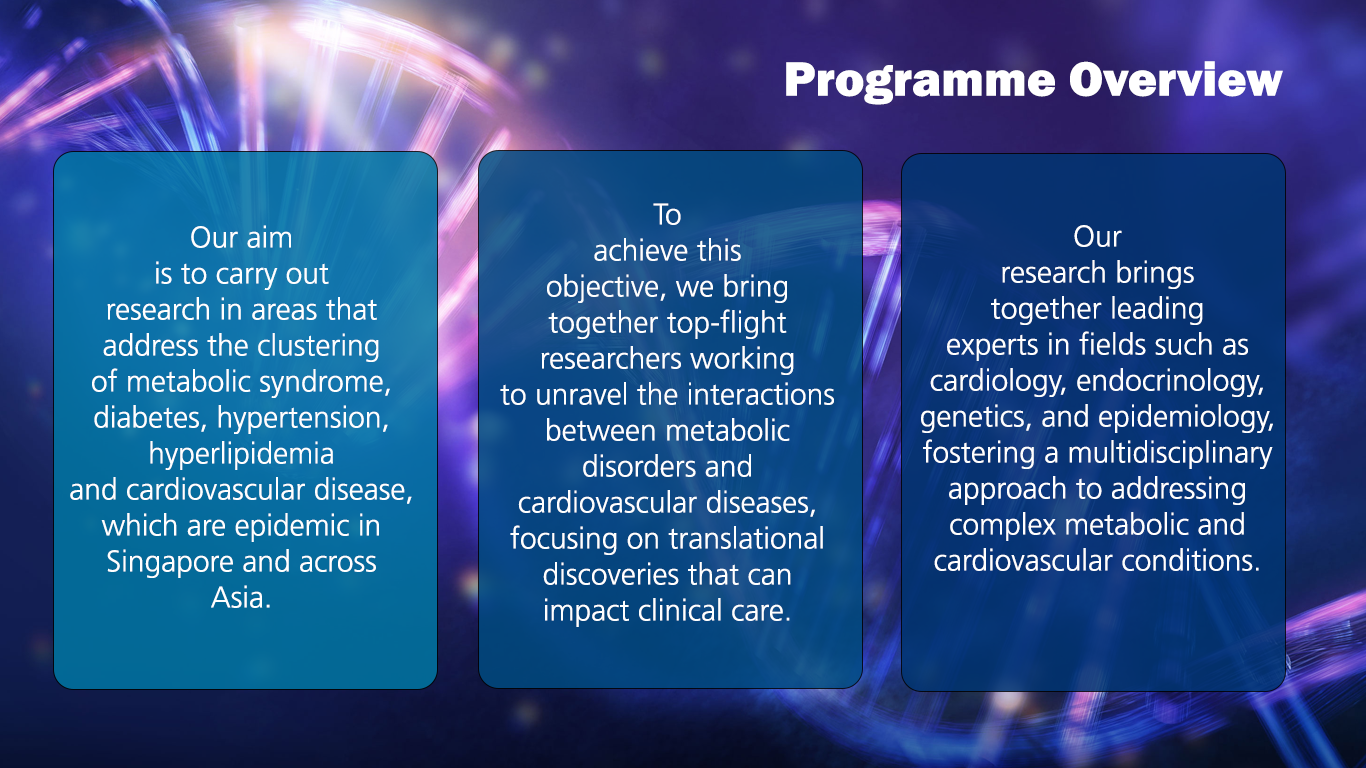 program overview