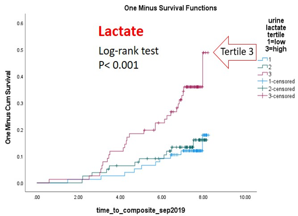 T1_Image 1 (Lactate)