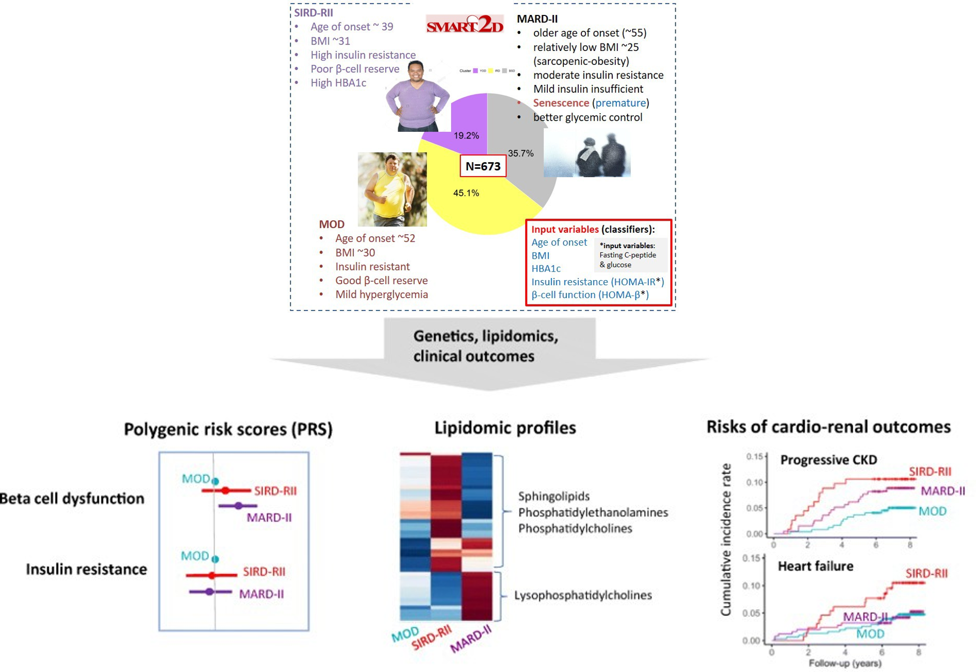 T2_sub-phenotype