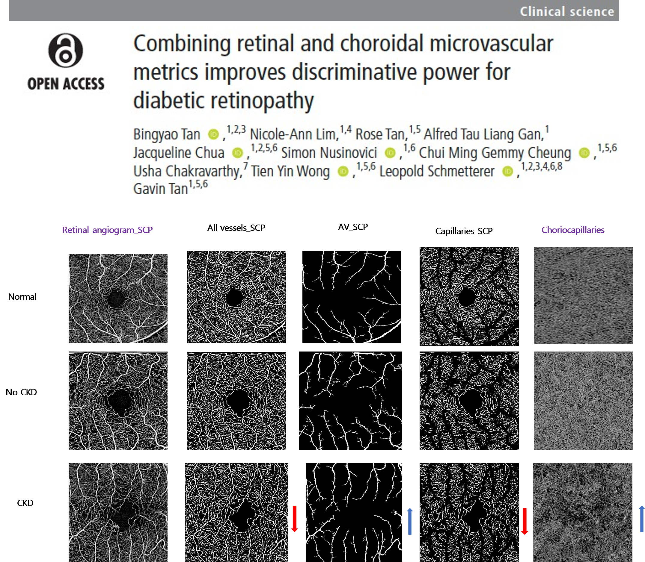 Theme 3_retinal scan
