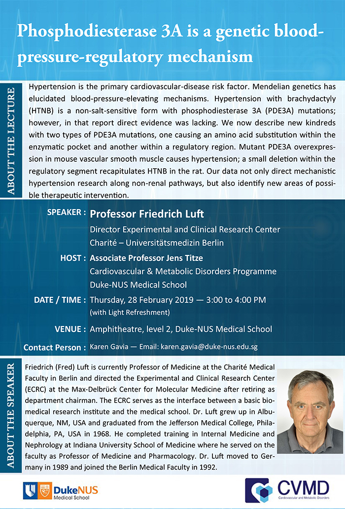 ProfFriedrichLuft_seminarflyer_web