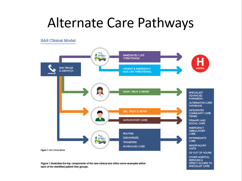 FRENS-Alt Care Pathway