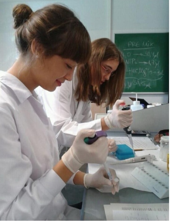 Learning DNA extraction during a practical session as part of the BSc in Genetics at the Autonomous University of Barcelona (UAB).