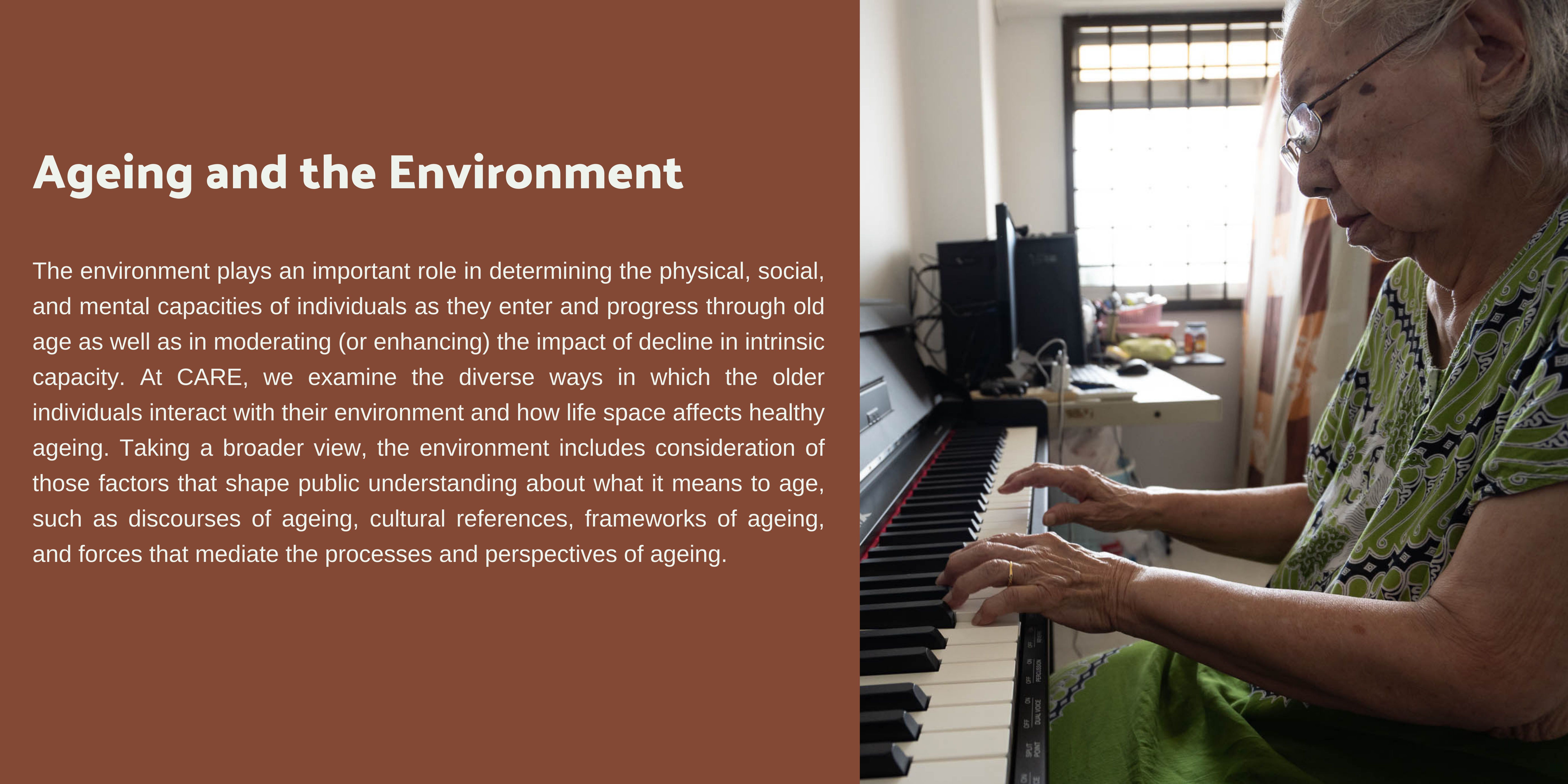 Ageing and the environment