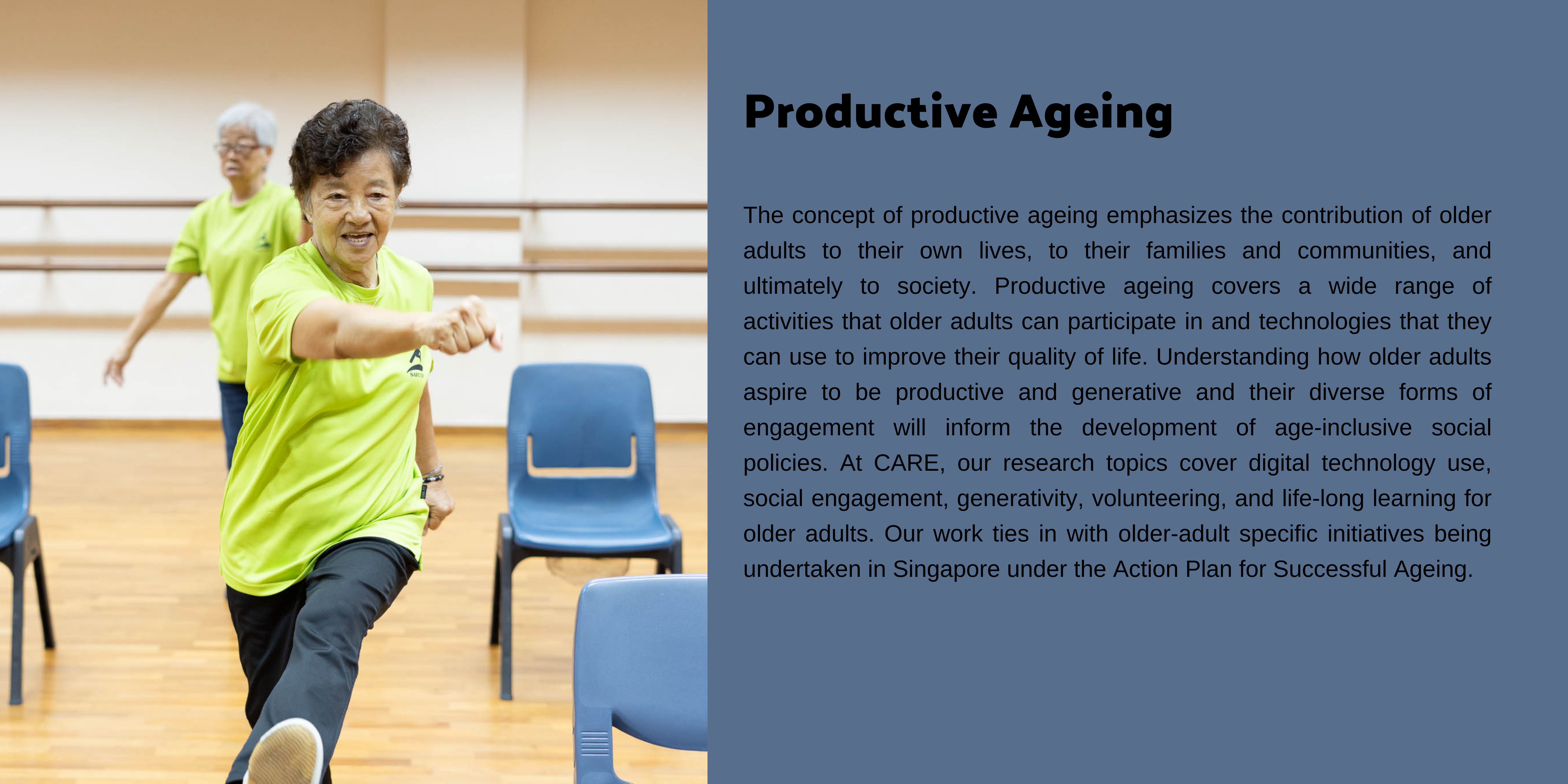Productive ageing