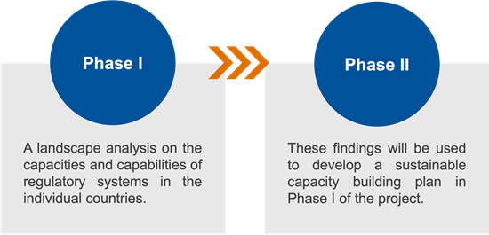 2 ADB Malaria Project Phases Graphic 2 ADB Malaria Project Phases Graphic