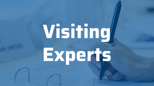 Visiting Experts