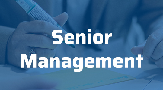 Senior Management
