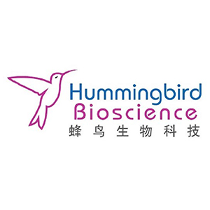 hummingbird