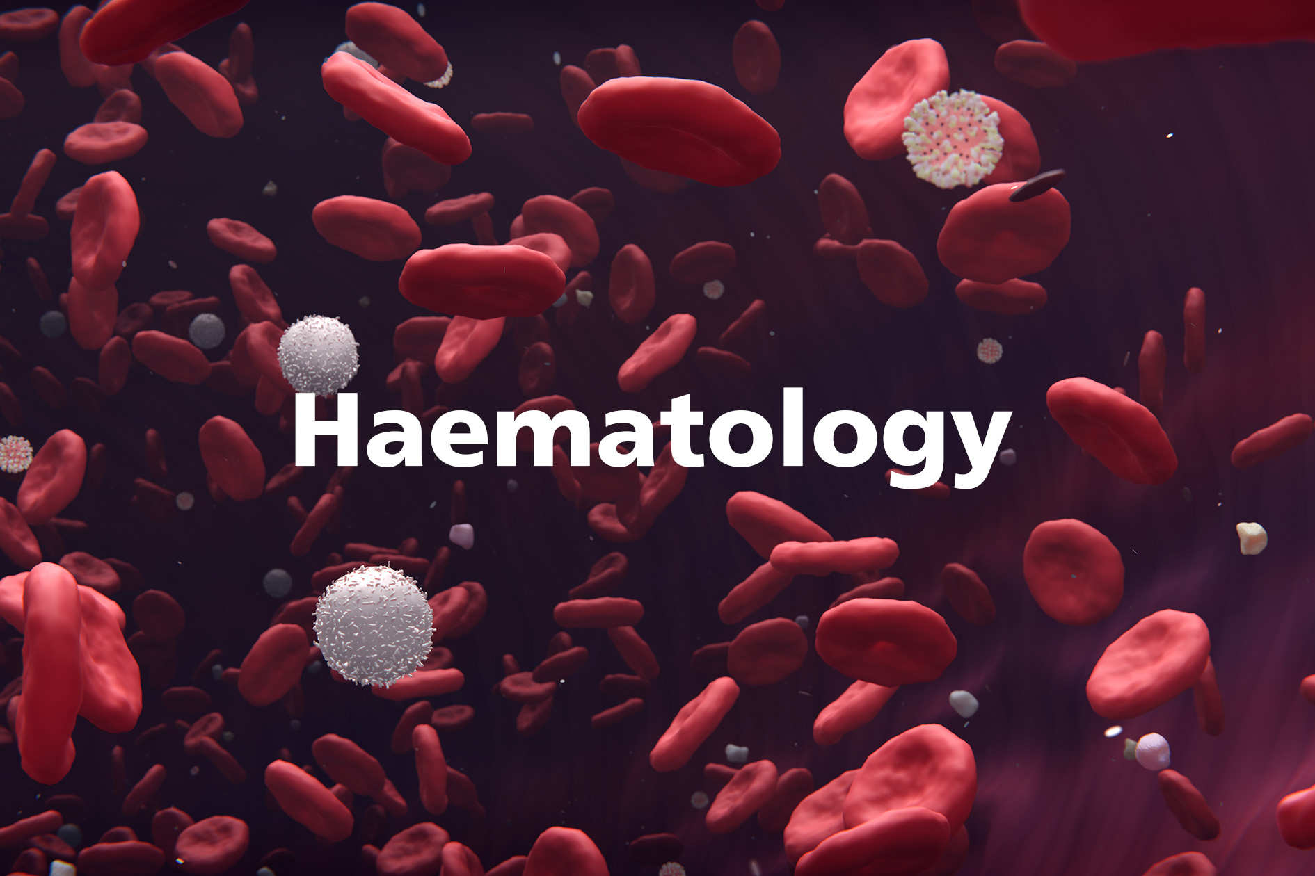 Haematology